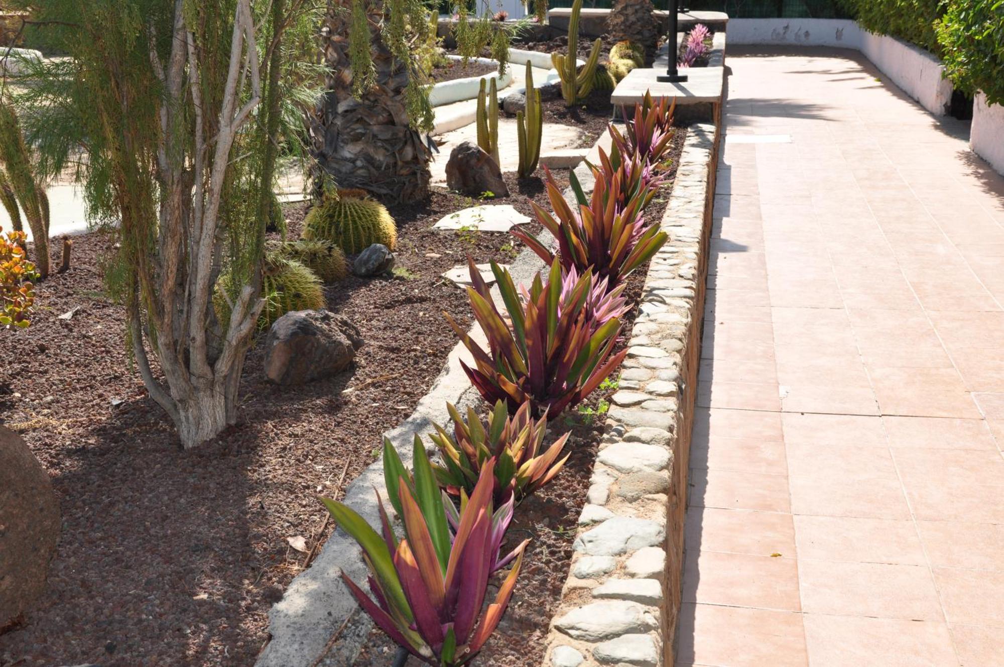 Serenity Garden Maspalomas  Dış mekan fotoğraf