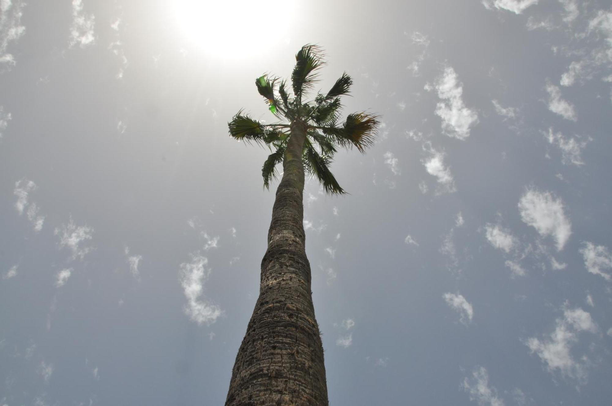 Serenity Garden Maspalomas  Dış mekan fotoğraf