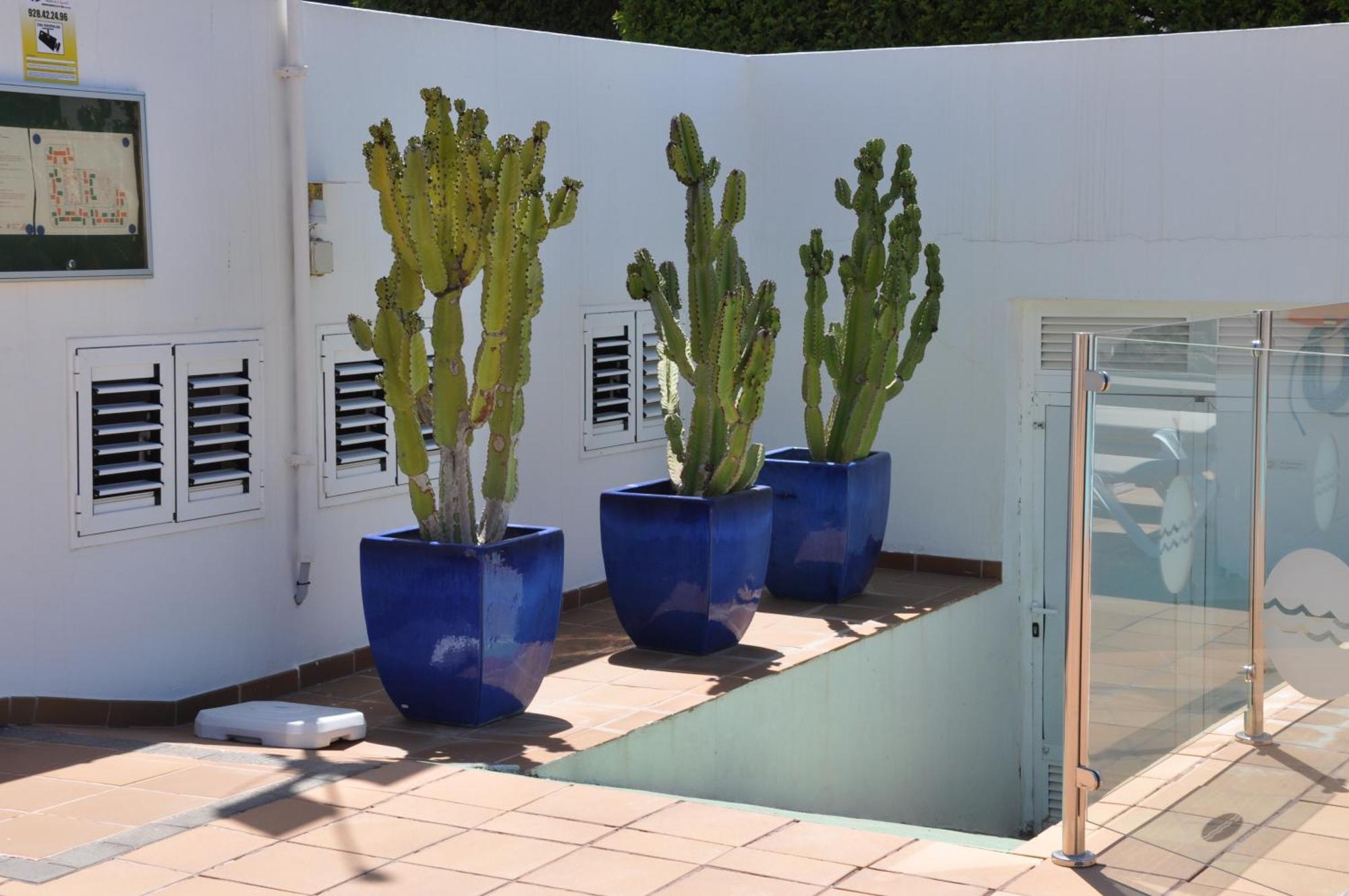 Serenity Garden Maspalomas  Dış mekan fotoğraf