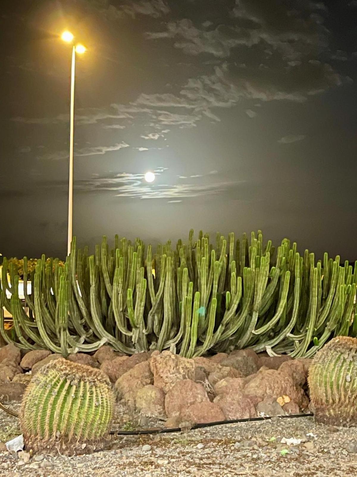 Serenity Garden Maspalomas  Dış mekan fotoğraf