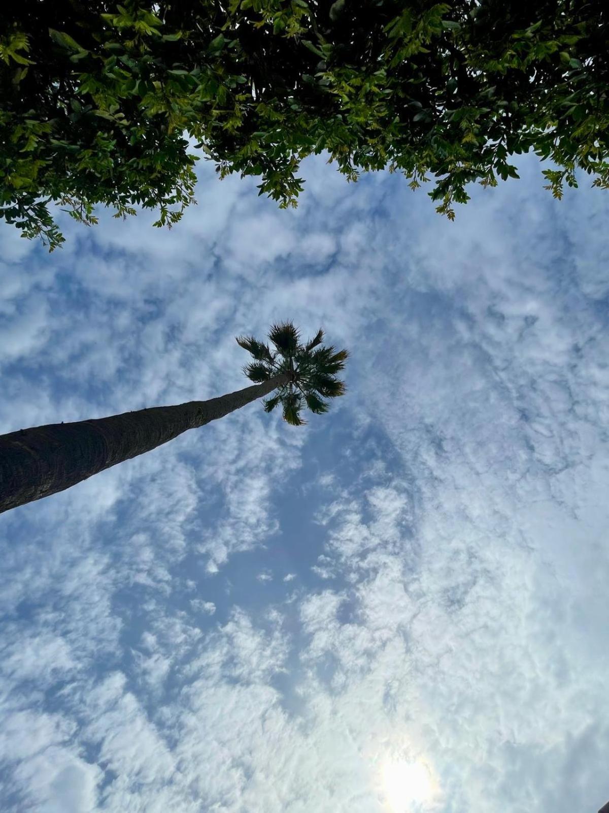 Serenity Garden Maspalomas  Dış mekan fotoğraf